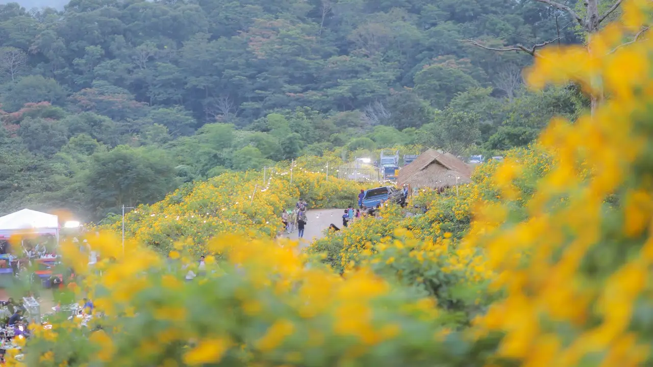dok_bua_tong_ban_tee_baan_bua_mae_kham_day_view_02
