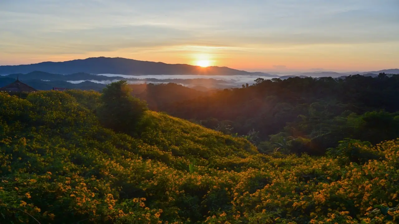 dok_bua_tong_ban_tee_baan_bua_mae_kham_day_view_03