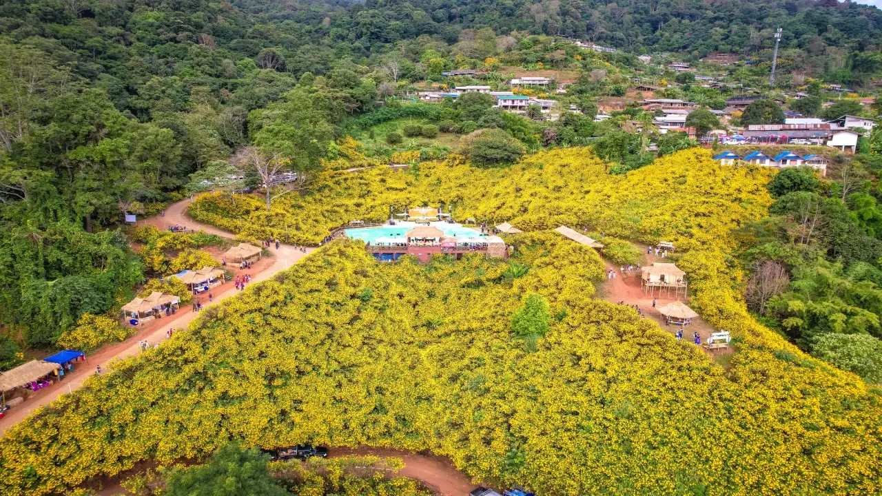 dok_bua_tong_ban_tee_baan_bua_mae_kham_day_view_04