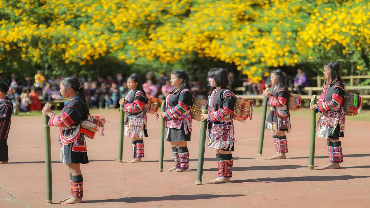dok_bua_tong_ban_tee_baan_bua_mae_kham_performance_01