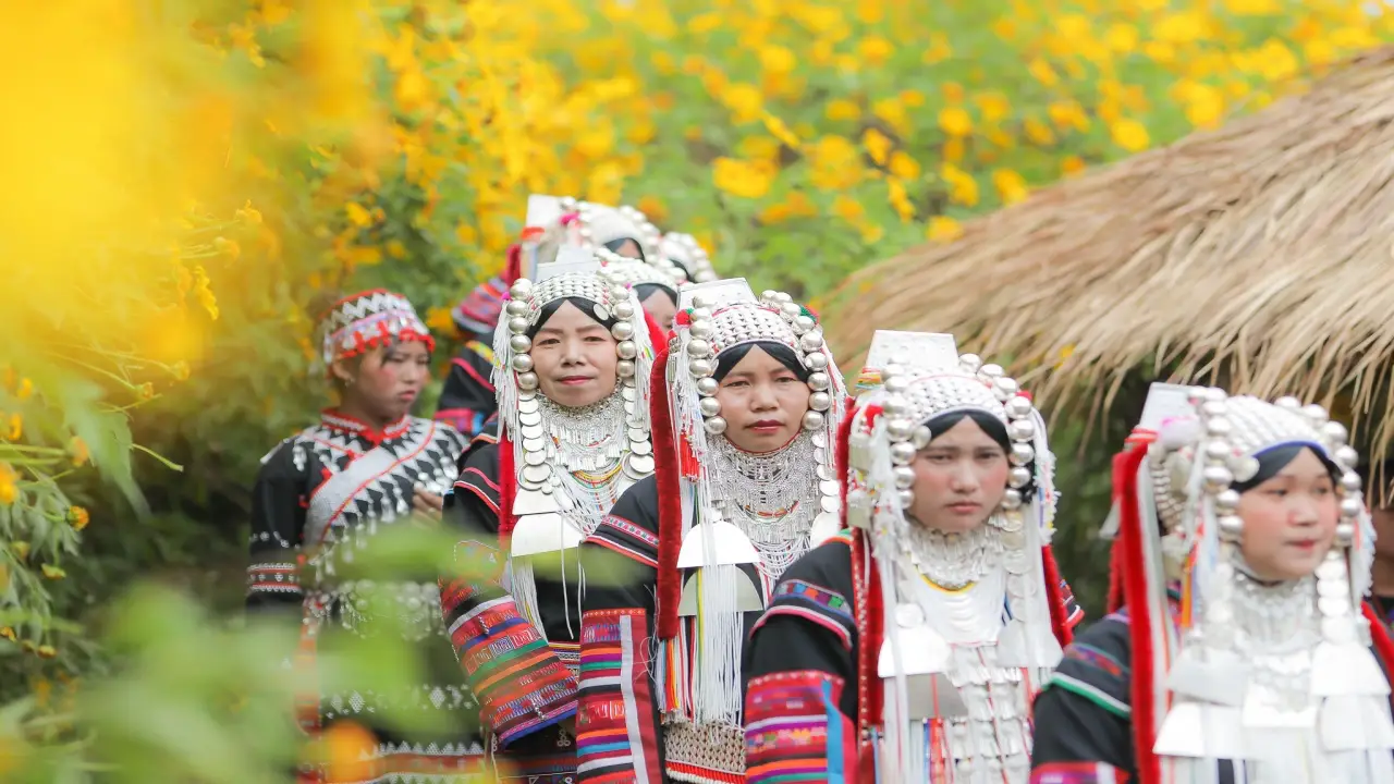 dok_bua_tong_ban_tee_baan_bua_mae_kham_performance_03