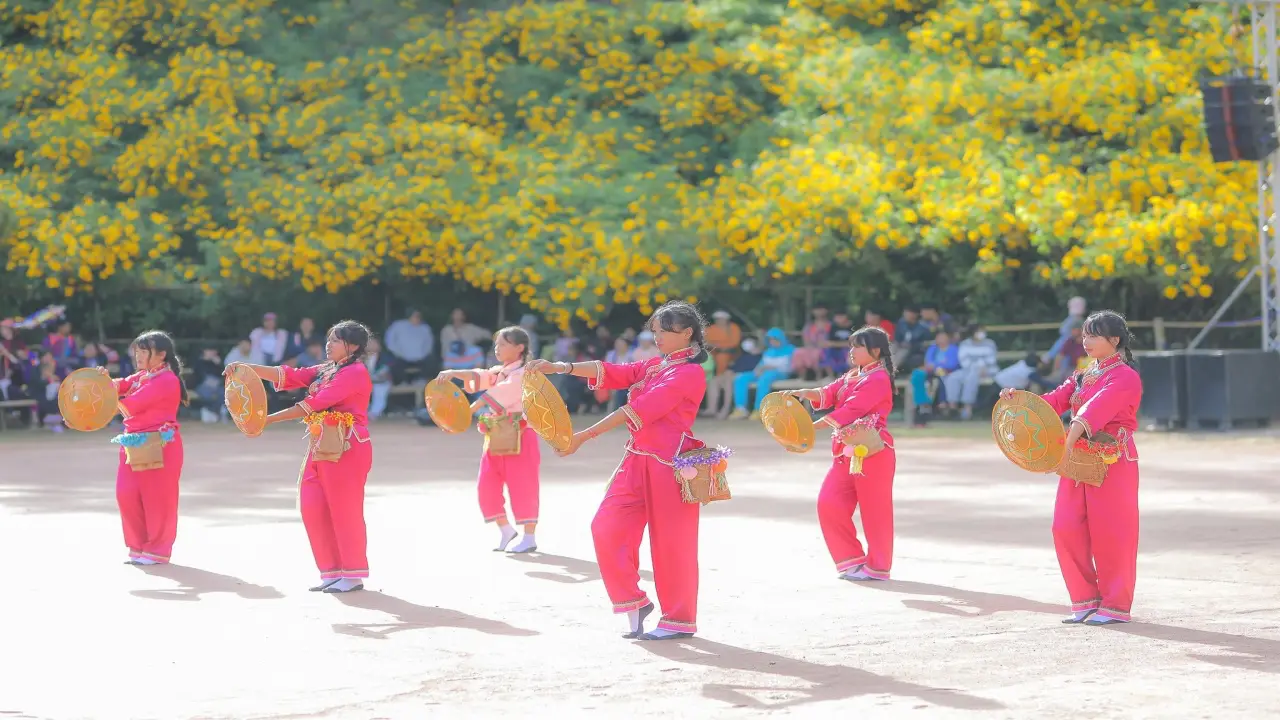 dok_bua_tong_ban_tee_baan_bua_mae_kham_performance_04